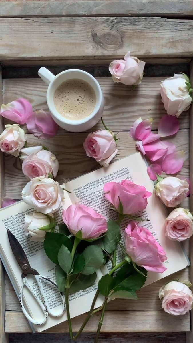 💜 Violet 💜 tweet media