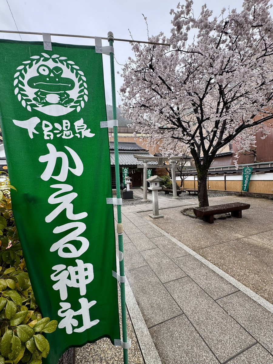 ｷﾀ tweet media