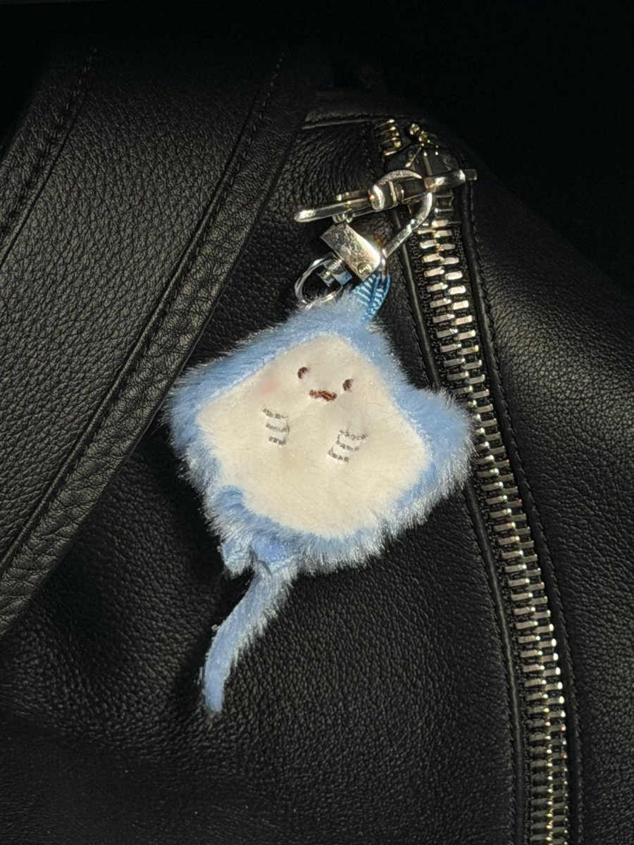 햄깍지🐹🫛 tweet media