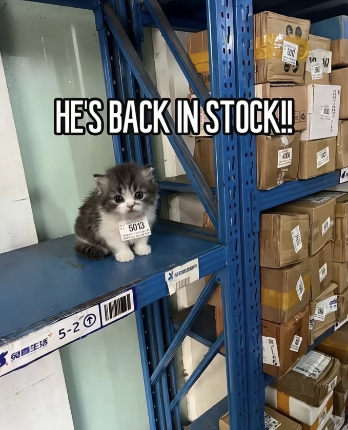 Images That Make You Feel Pain tweet media