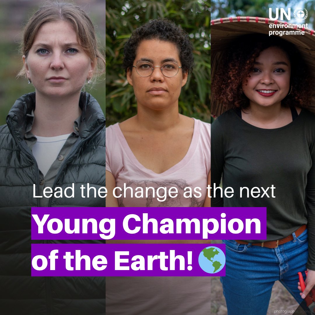 UN Environment Programme tweet media