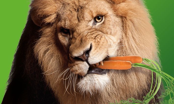 Weet Magazine tweet media