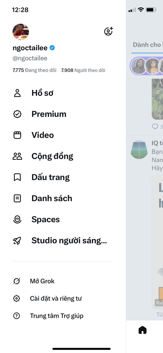 ngoctailee tweet media