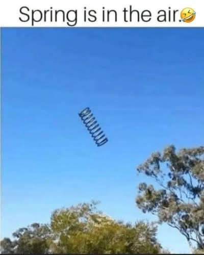 Adam Choit tweet media