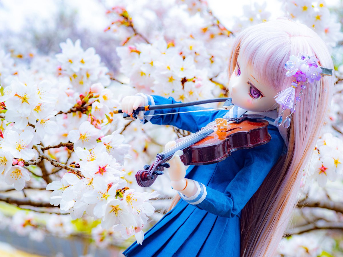 エルフィーネ🐈⸒⸒⸒ @アイドール大阪初出店💫💫 tweet media