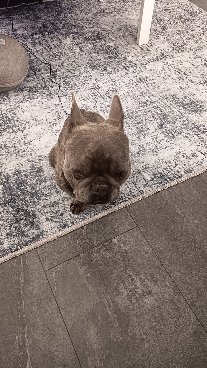 ercan abi tweet media