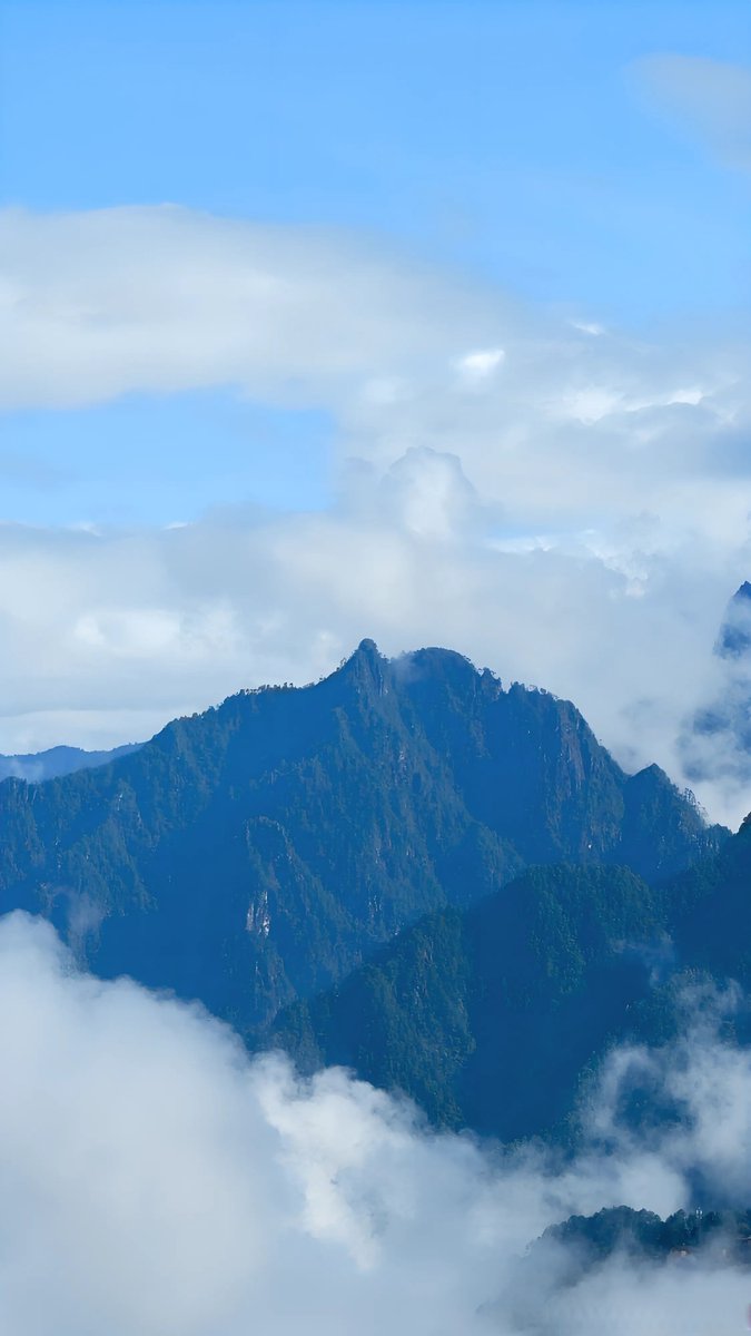 ainhoa atutxa  tweet media