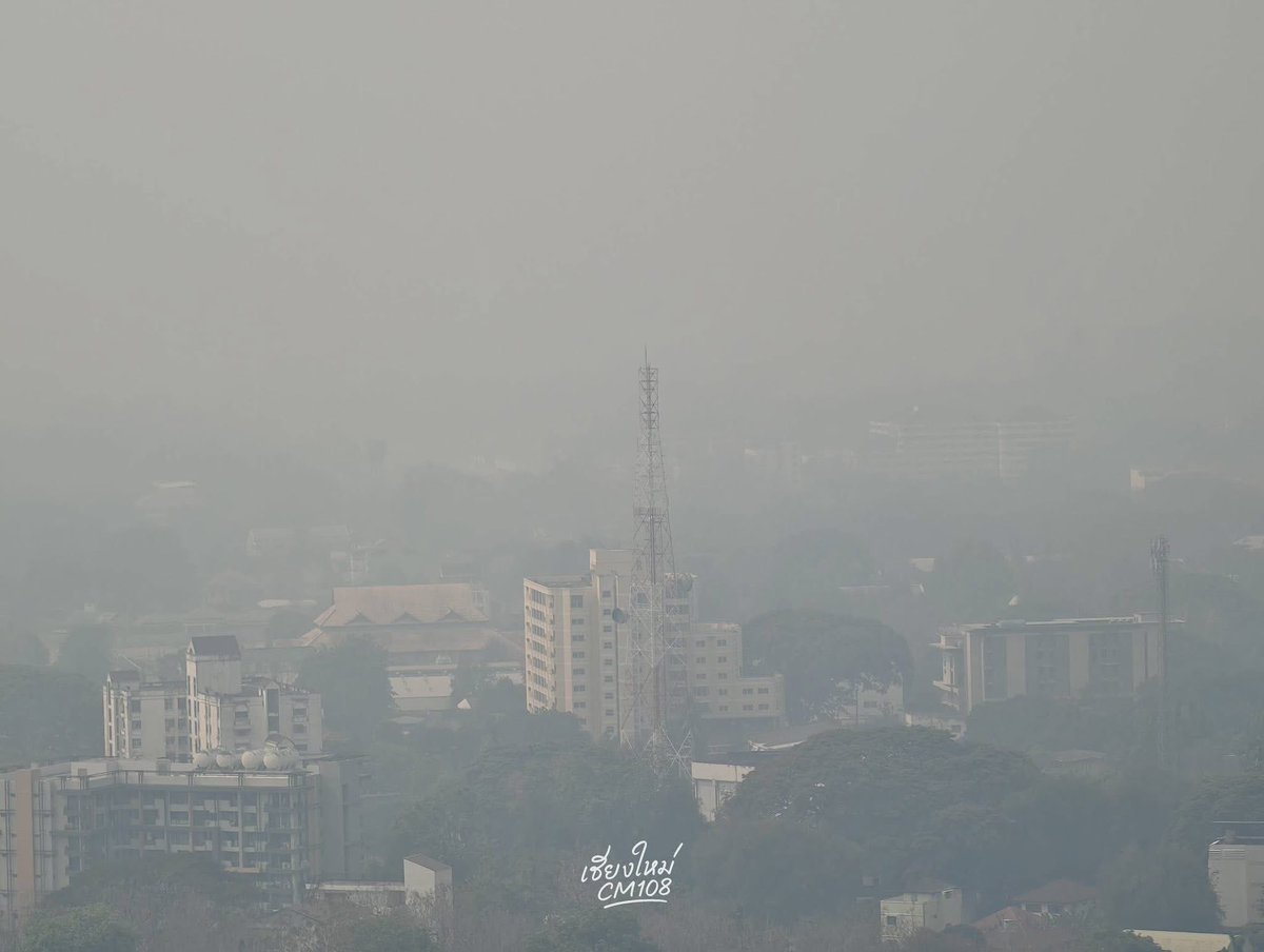 (✿ ✿)° tweet media