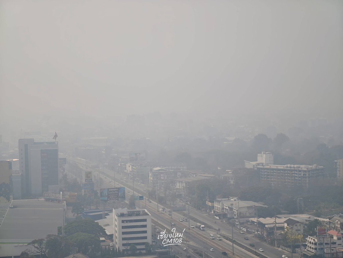 (✿ ✿)° tweet media