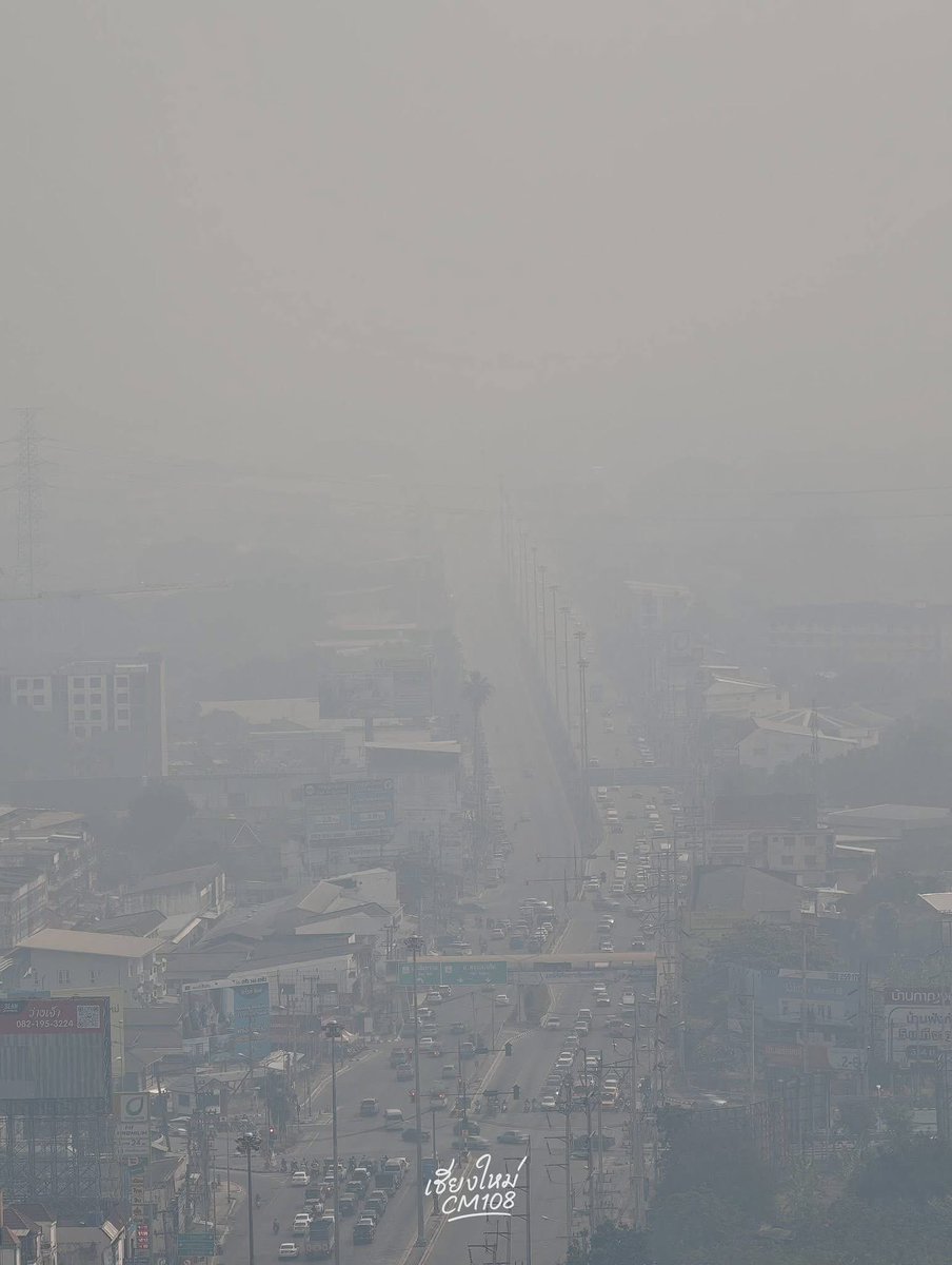 (✿ ✿)° tweet media