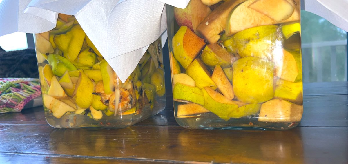 Dame Jane tweet media