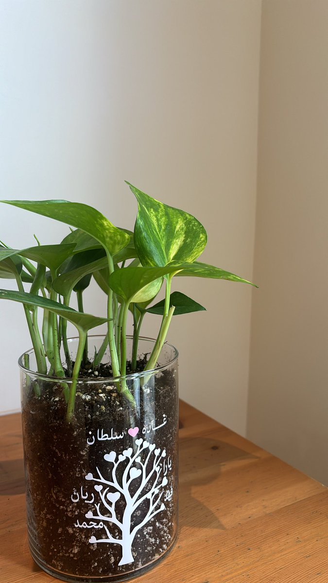 لمارينا tweet media