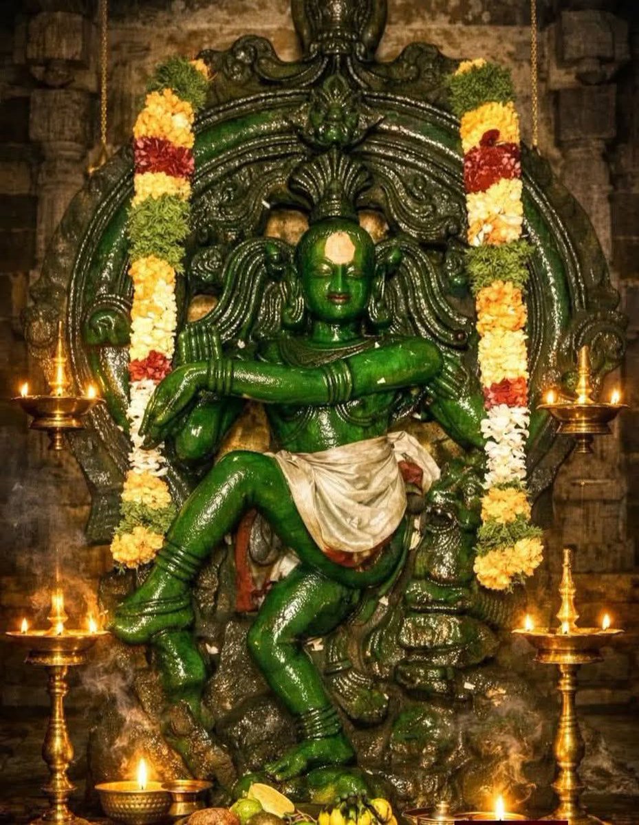 Anu Satheesh 🇮🇳🚩 tweet media