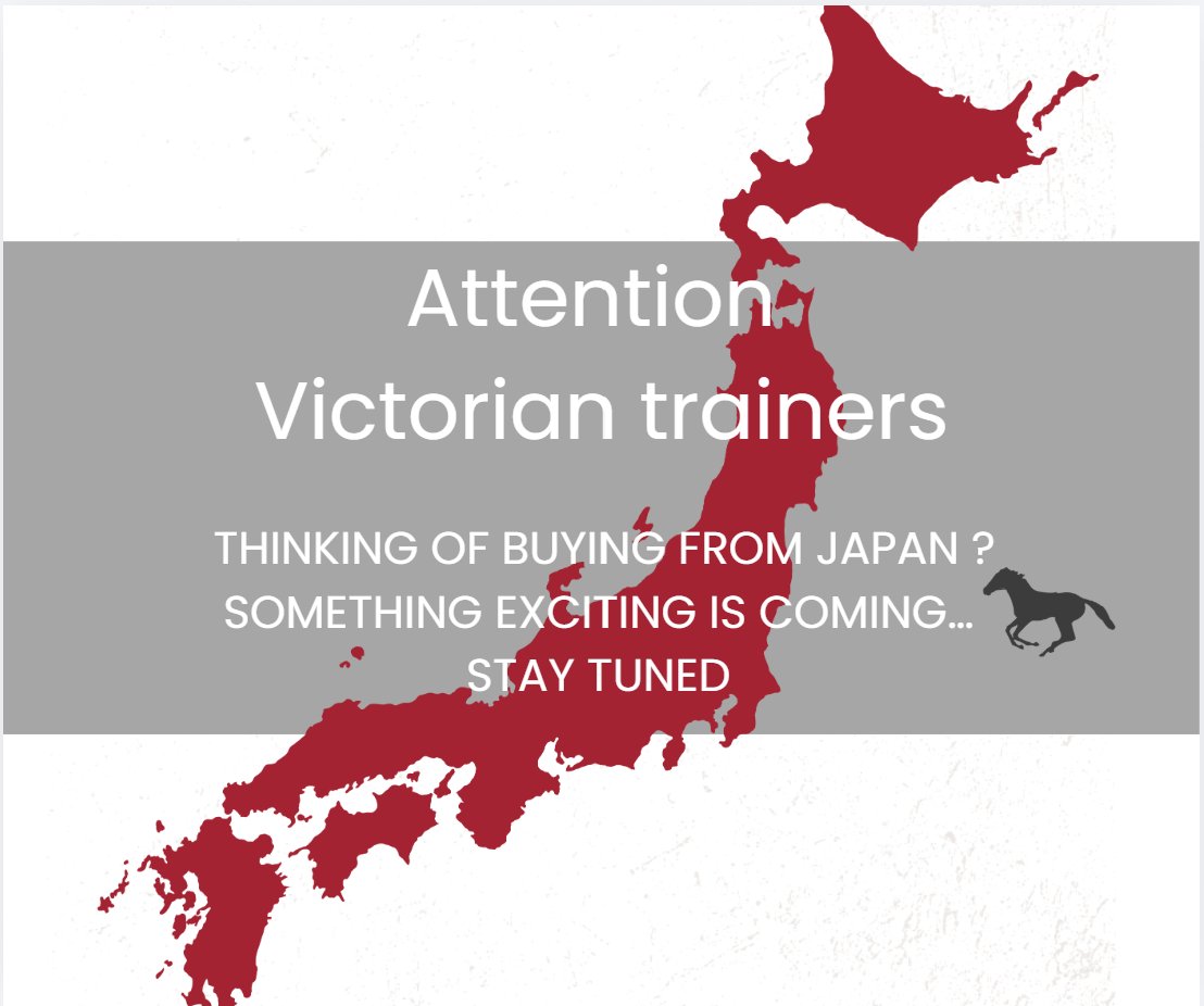 Satomi Oka Bloodstock tweet media