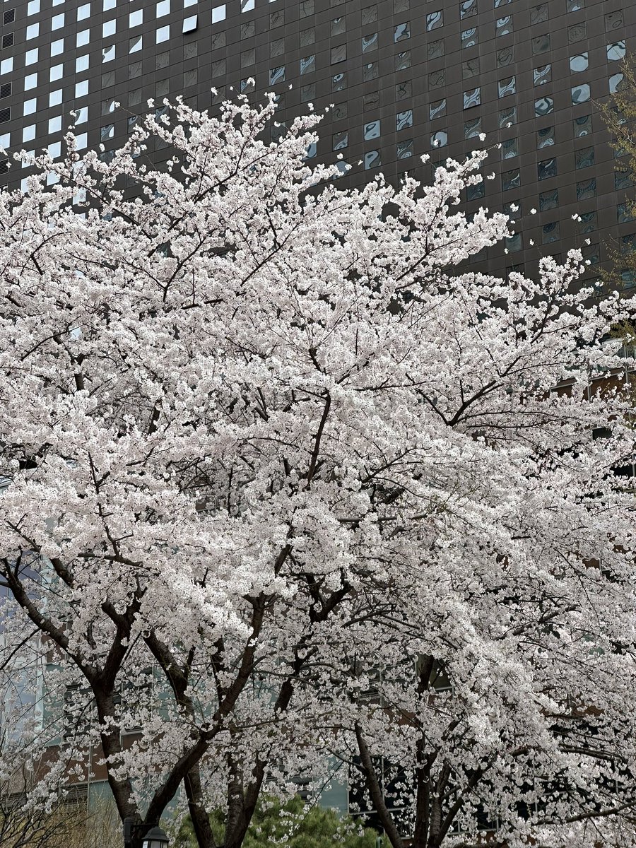 숨⬅️📚 ⁴/¹🌙˒ ⁴/³🌙⁴/⁴🌙 tweet media