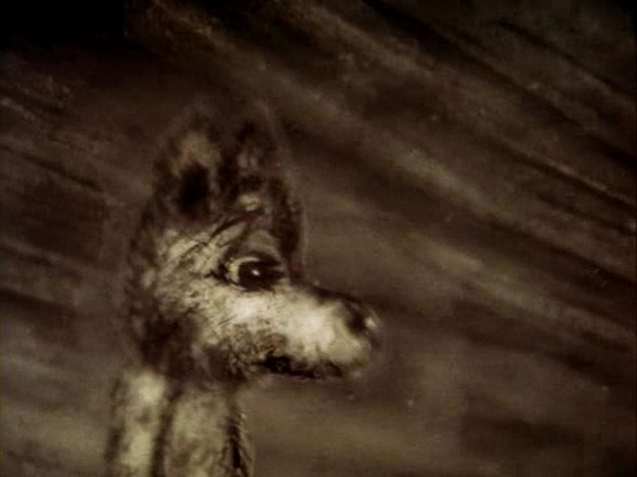 킨붕이 tweet media