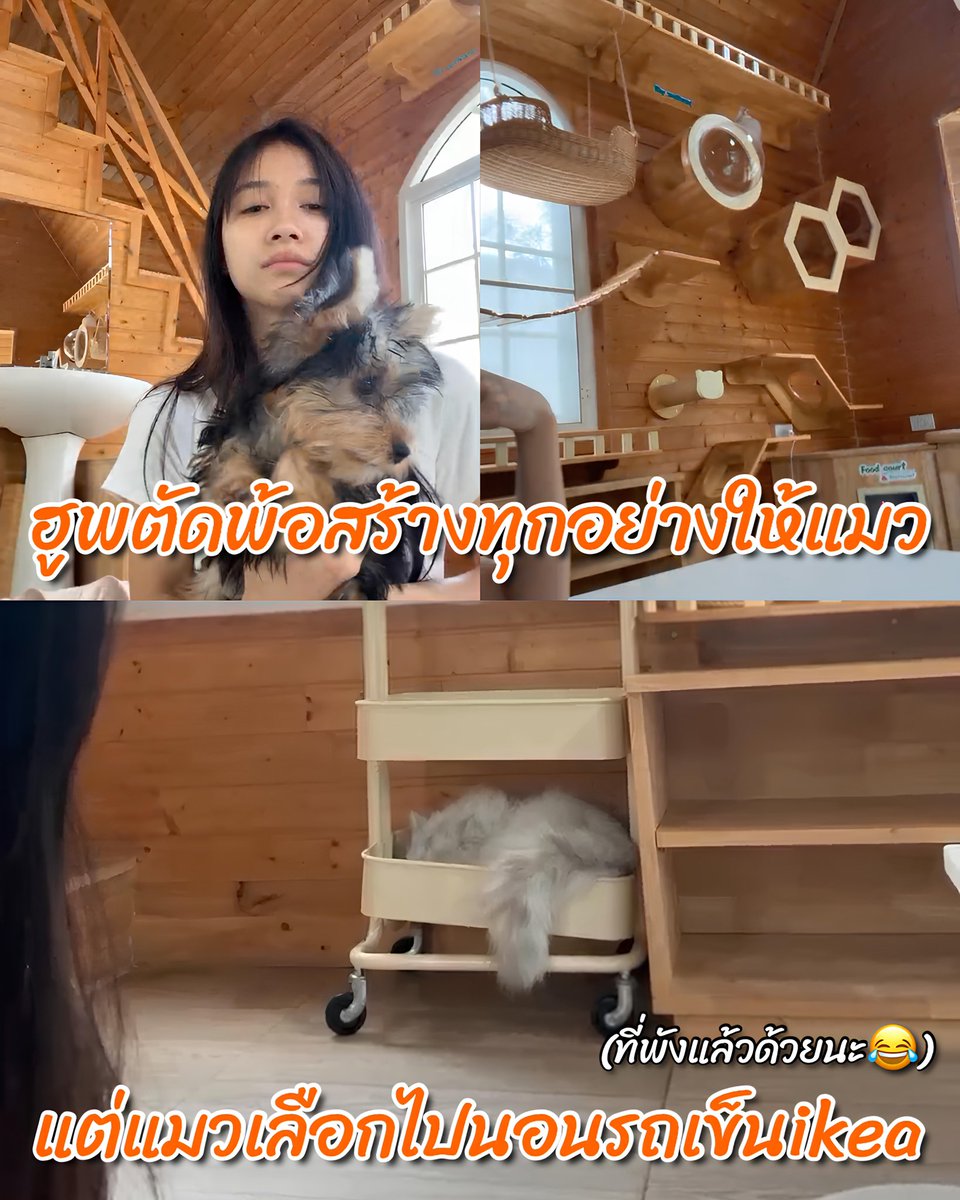 มกก tweet media