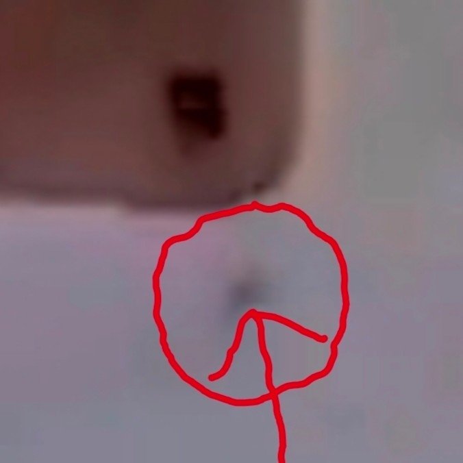 Val Venis™ (The Big Valbowski™) tweet media