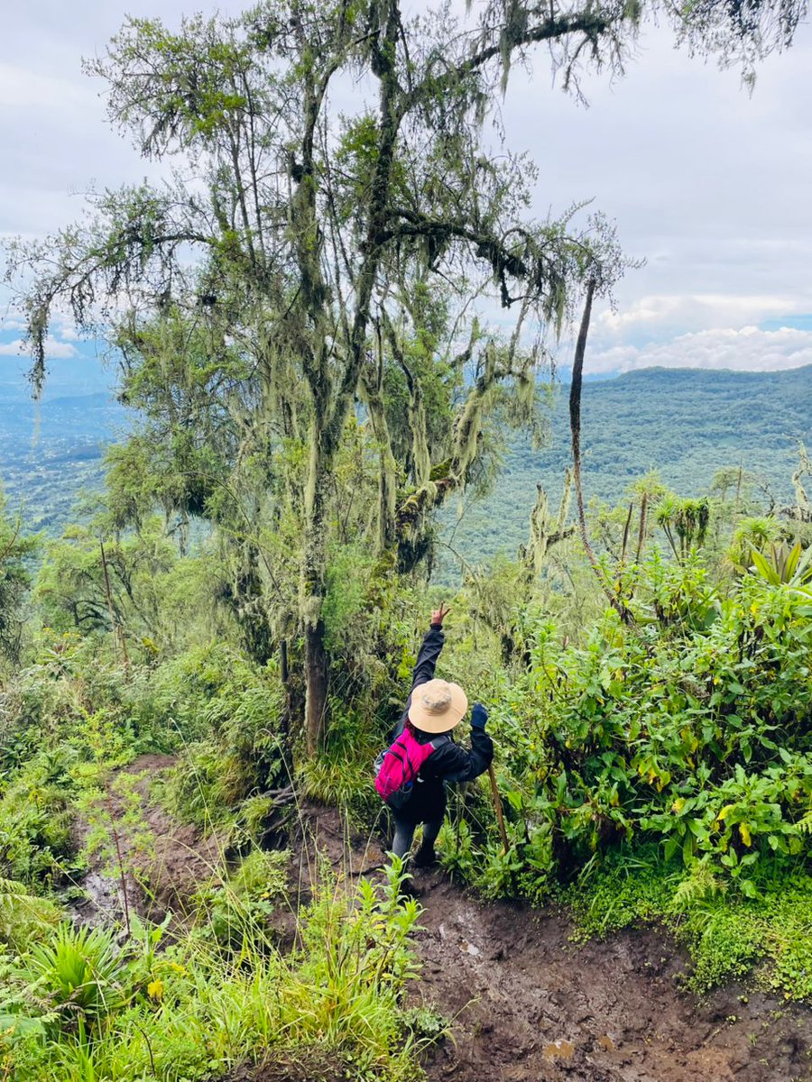 Tembera 250 (Travel 🇷🇼) tweet media