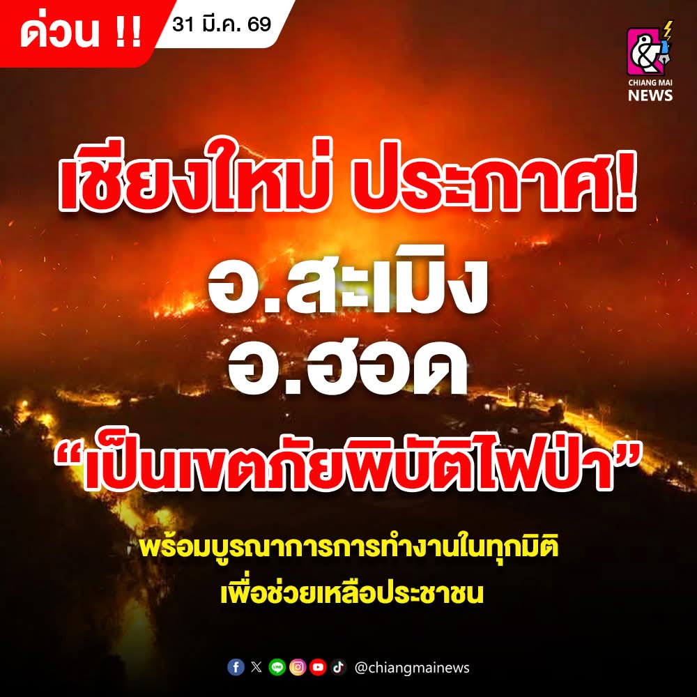Chiang Mai News tweet media