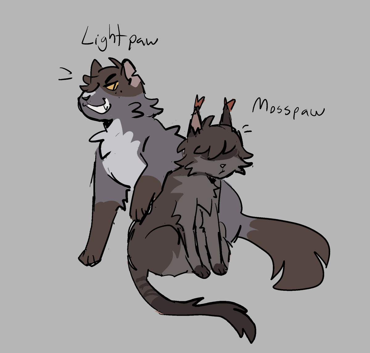 Max🍉🍉🍉 tweet media