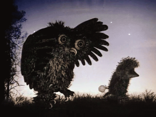 킨붕이 tweet media