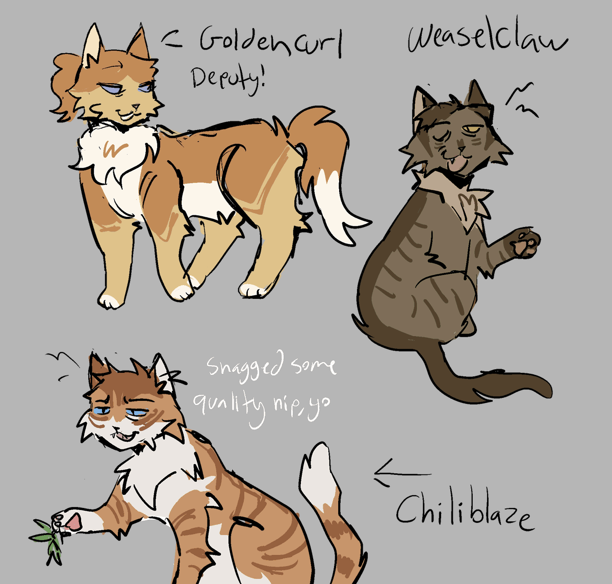 Max🍉🍉🍉 tweet media