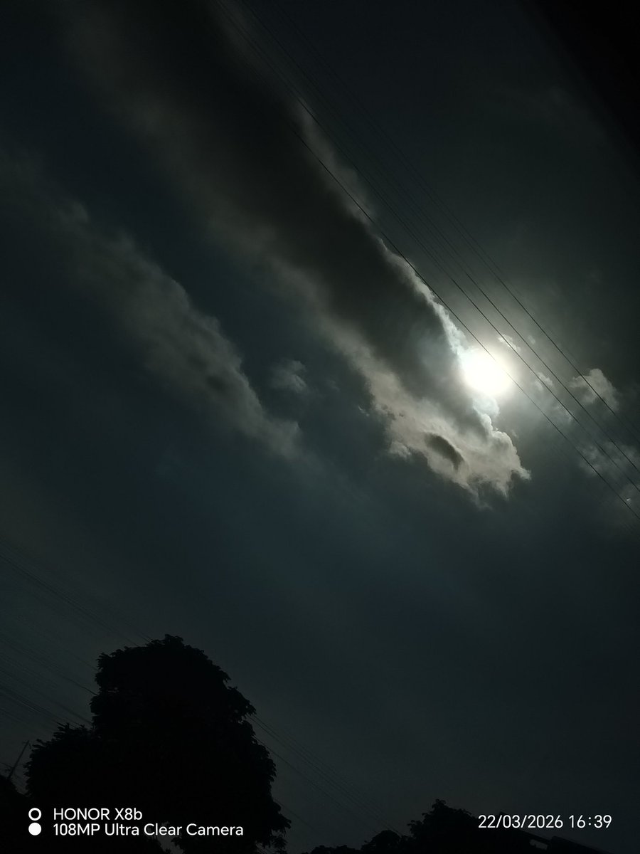 Apolo1494 tweet media