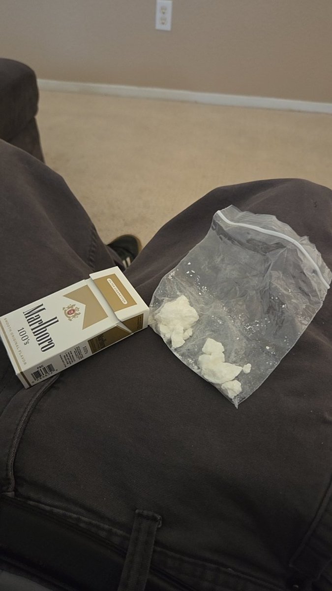 ❄️🦉 tweet media