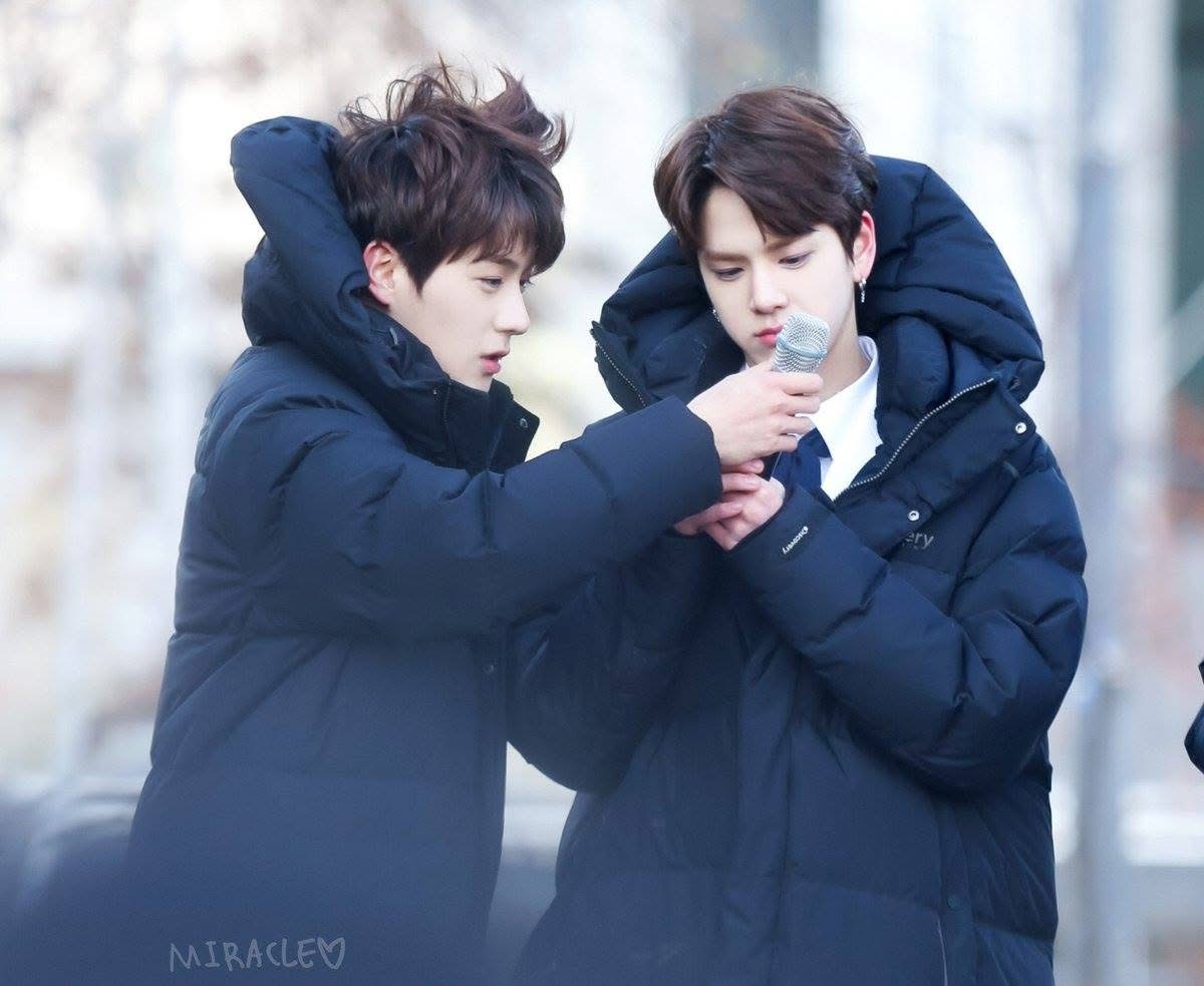 빵밀 아카이브 tweet media