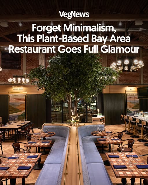 VegNews's tweet image. #Maximalism has hit the vegan dining scene. Here's how they're doing it in the SF #BayArea.
vegnews.com/forget-minimal…