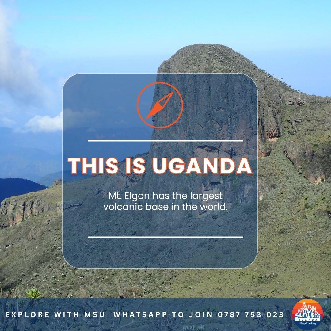 Mountain Slayers Uganda tweet media