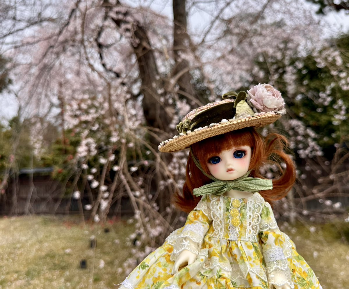 フロゥ tweet media