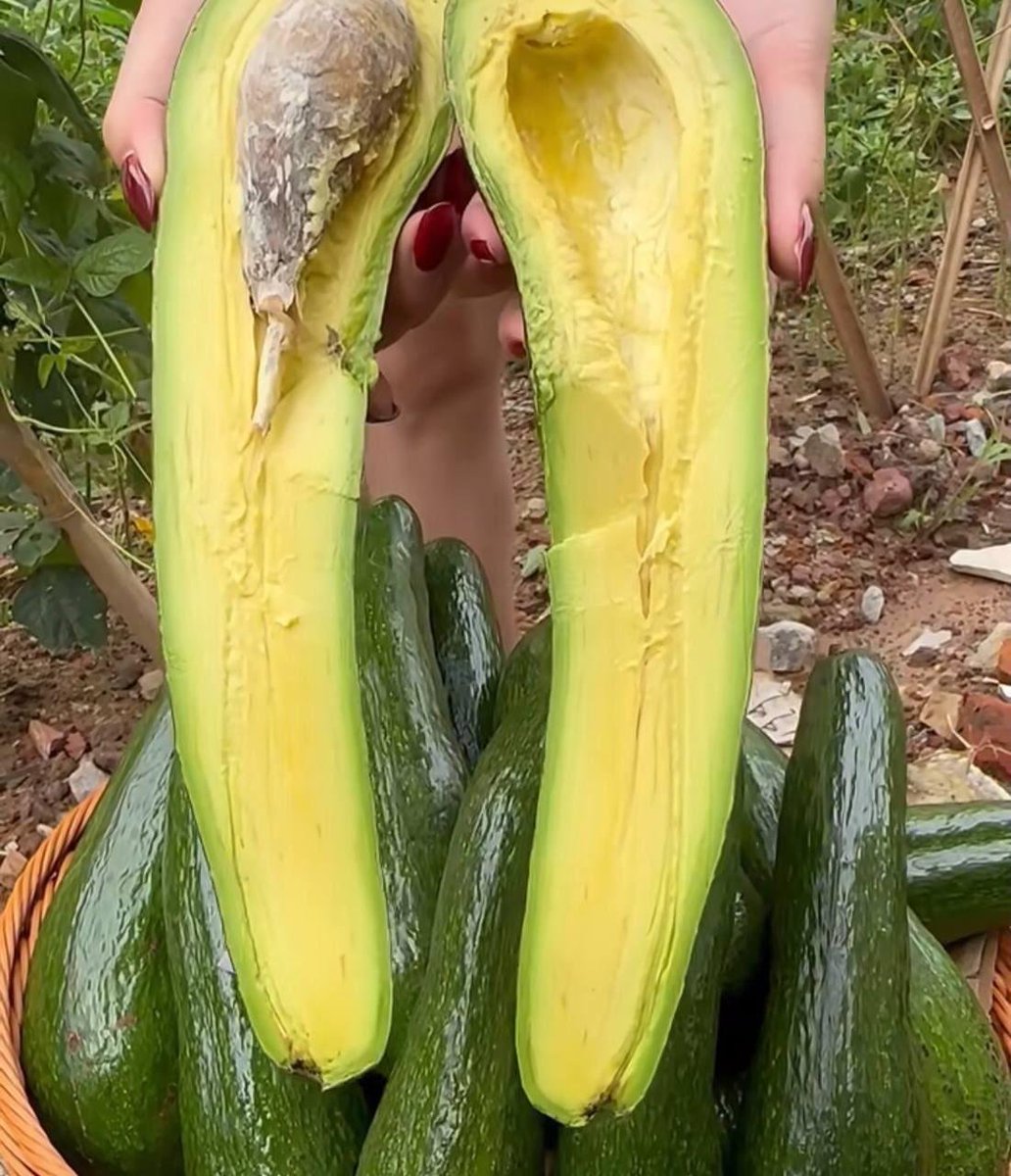 Carrie 台灣 Tea tweet media