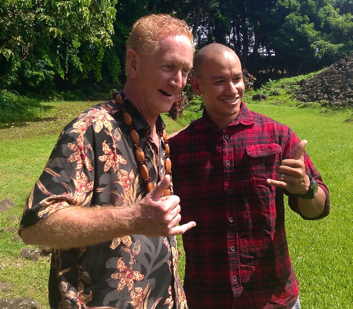 Free Hawaii tweet media