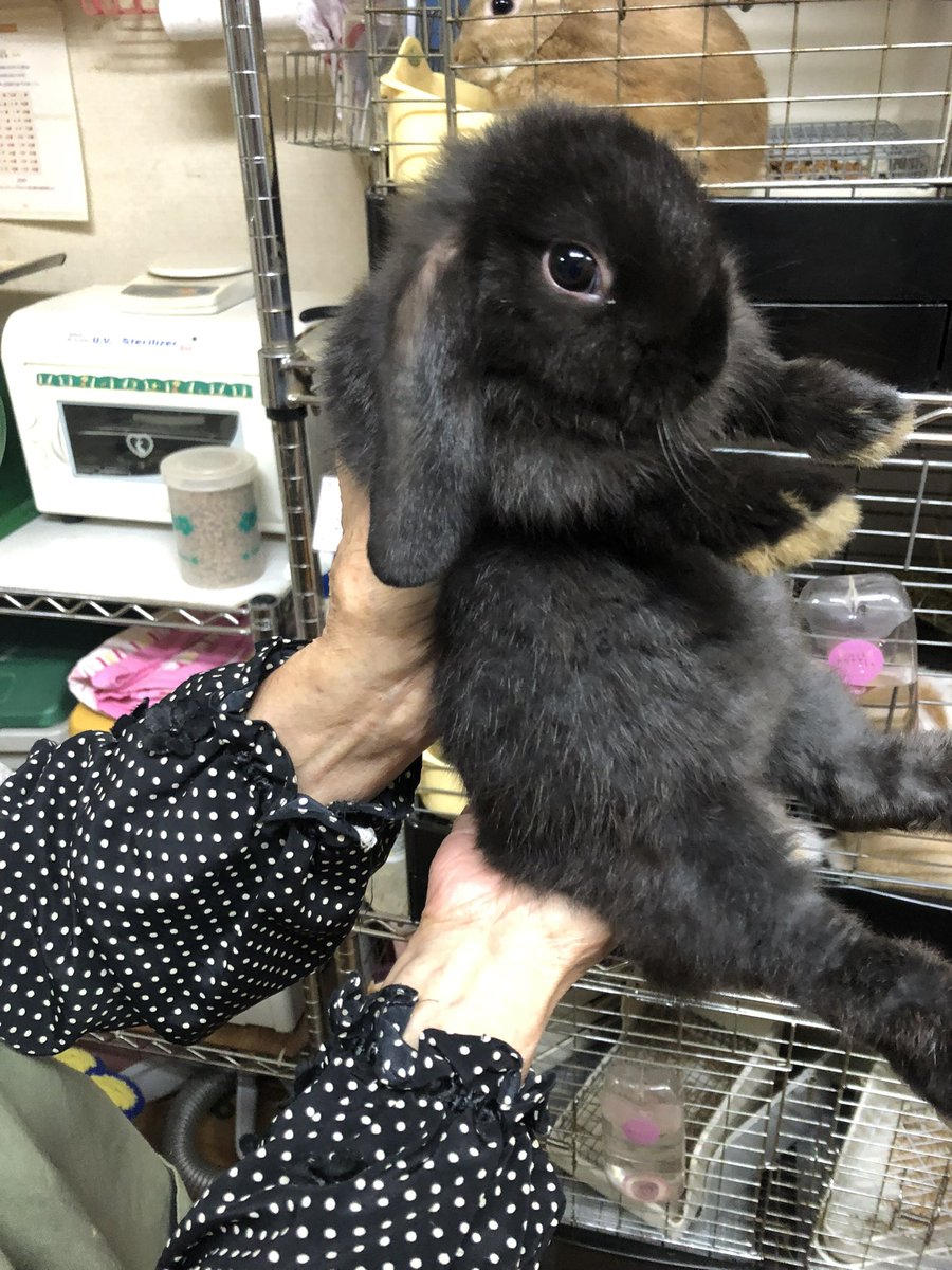 たまらん太郎 tweet media