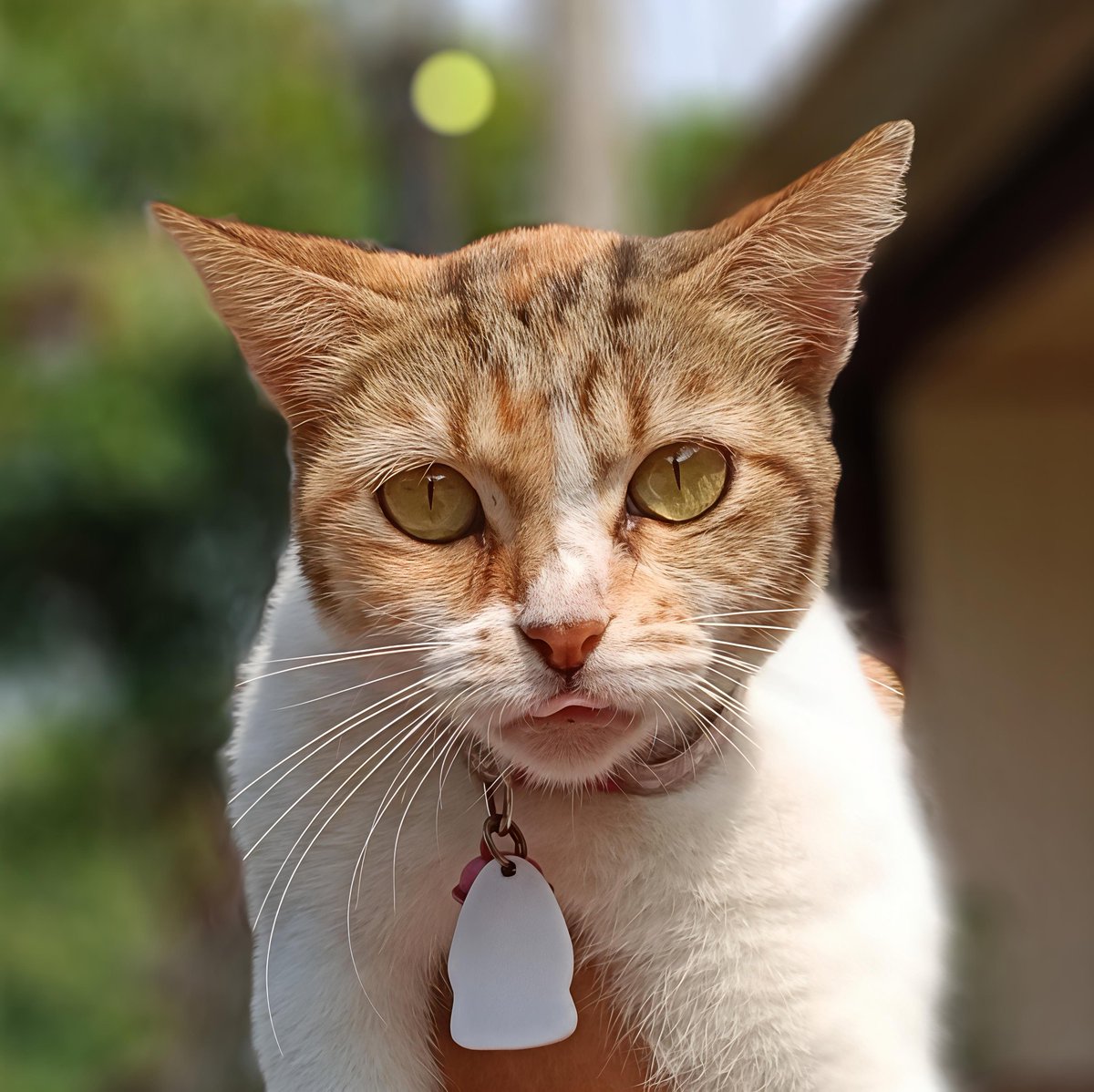 𝓭𝓪୨ৎ tweet media