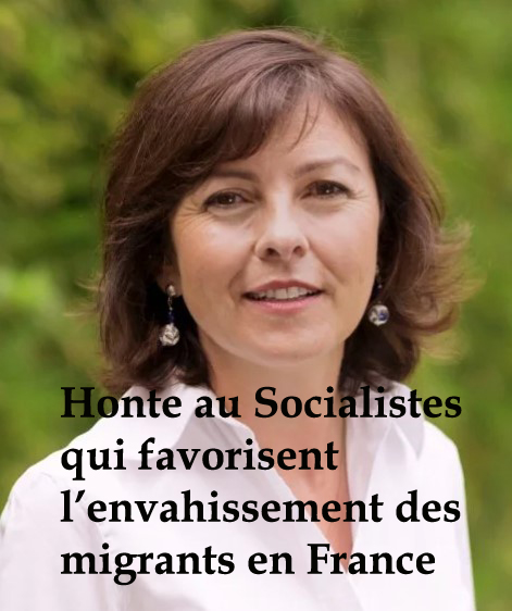 Alexandre BEAUQUENNE 🇫🇷 ​🇧🇷 tweet media