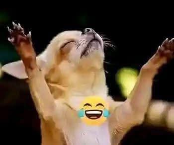 Lee_Ndœ tweet media