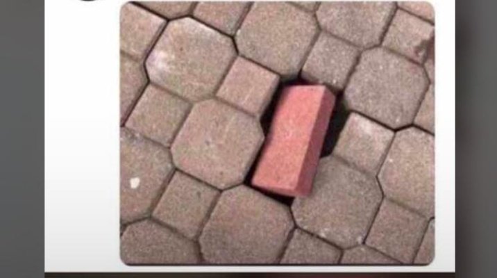 ✨Sheanie🦋💙 tweet media