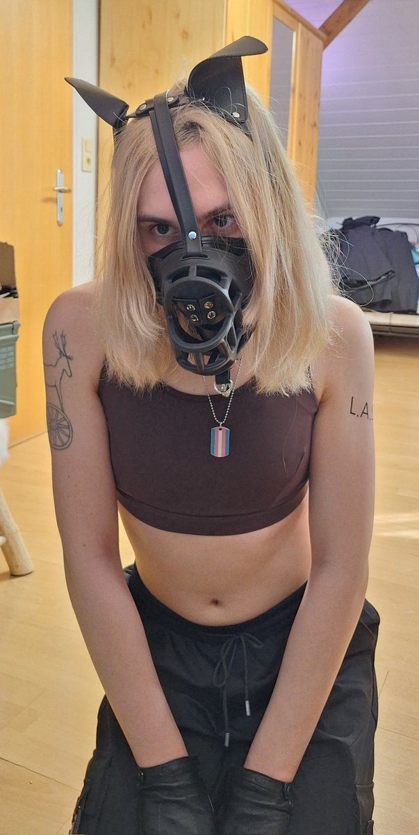 Synthetic Obscurity tweet media