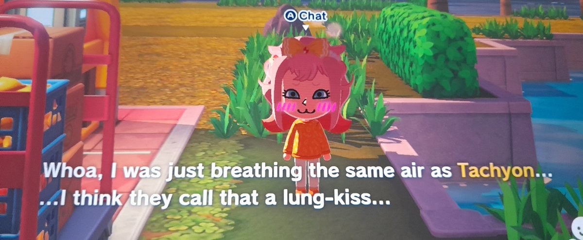 horse zonky 🧪🌈 tweet media