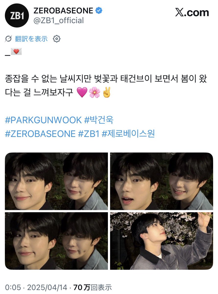 ︎시호.︎︎⟡* tweet media