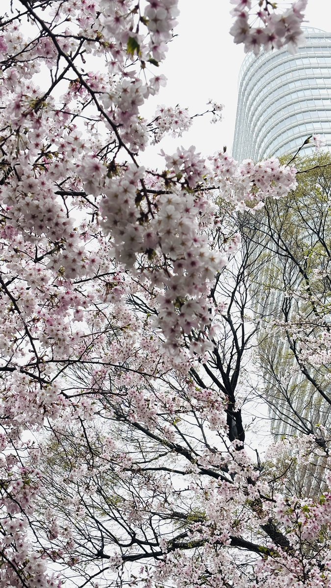 ponkichi photograph tweet media