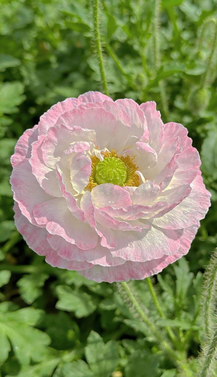 遇见美好(互关❤️) tweet media