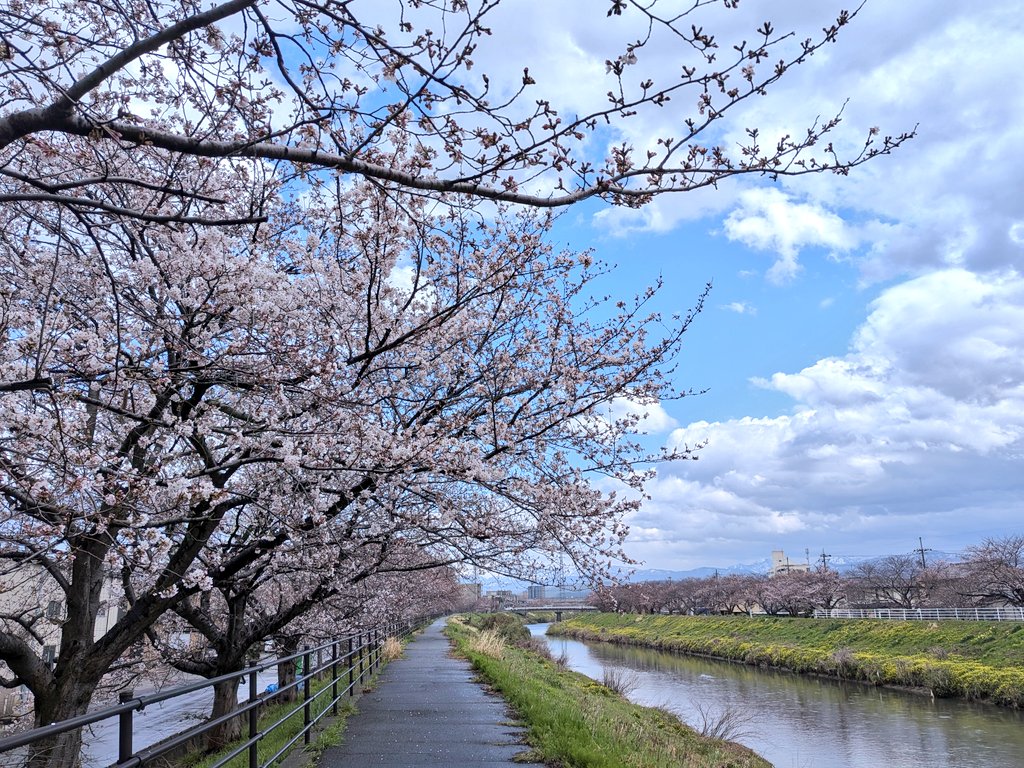 ほってぃー(東馬 葵) tweet media