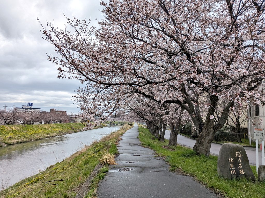 ほってぃー(東馬 葵) tweet media