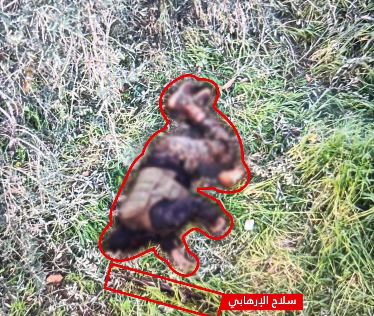 افيخاي ادرعي tweet media