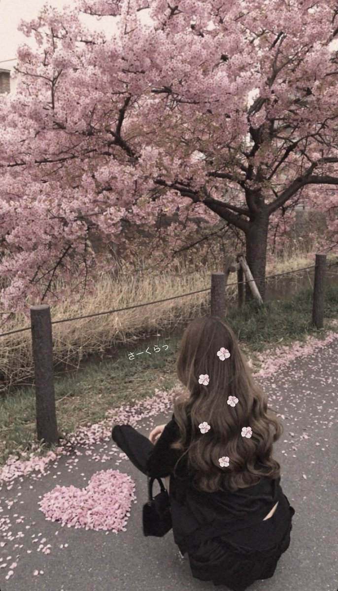 本音ちゃん tweet media