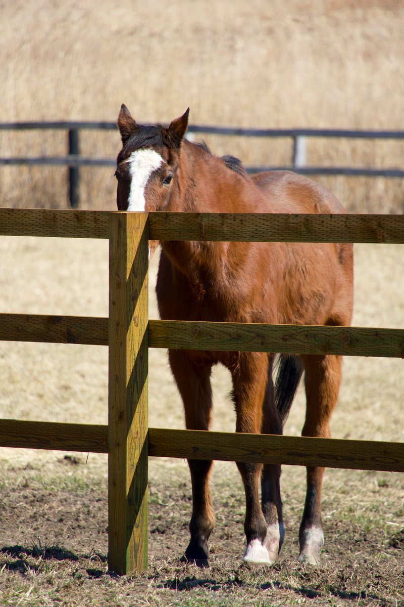 アライン tweet media